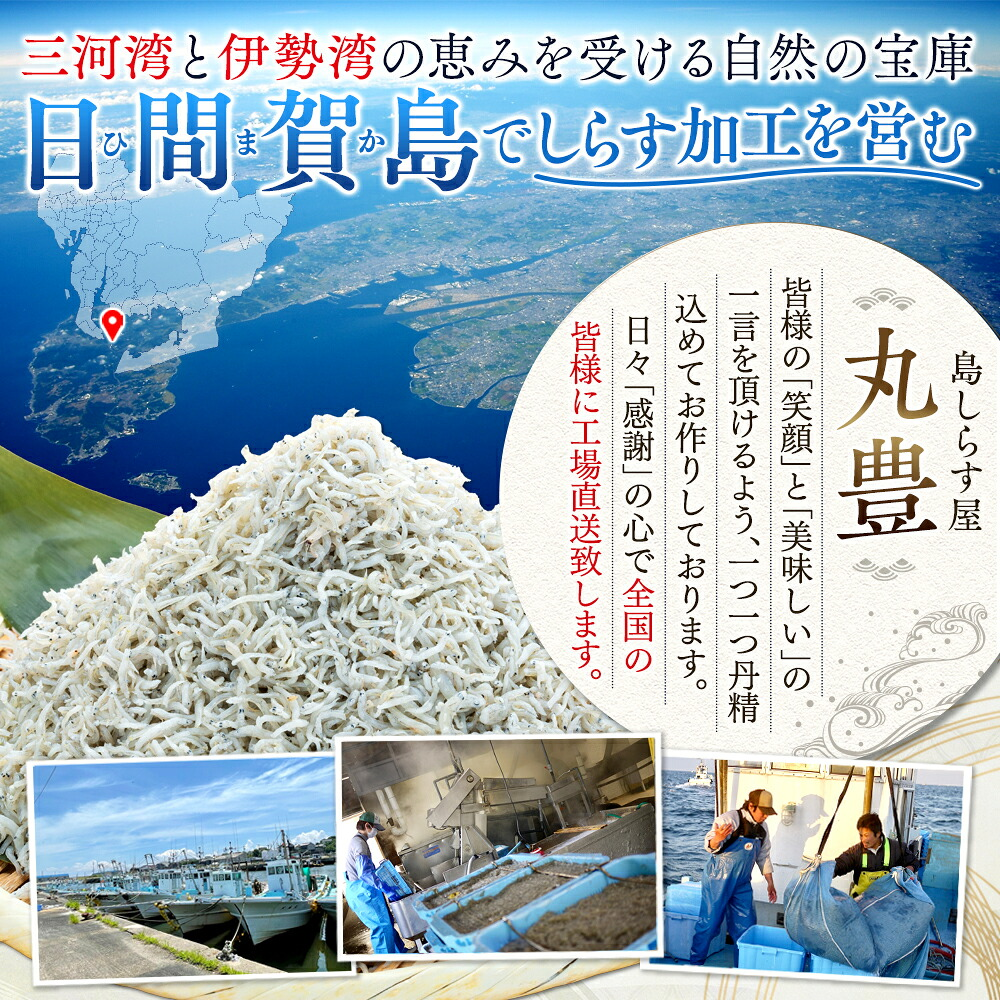 【選べる容量】しらす1~2kg 島の工場から直送 愛知県 日間賀島産 減塩 冷凍 丸豊